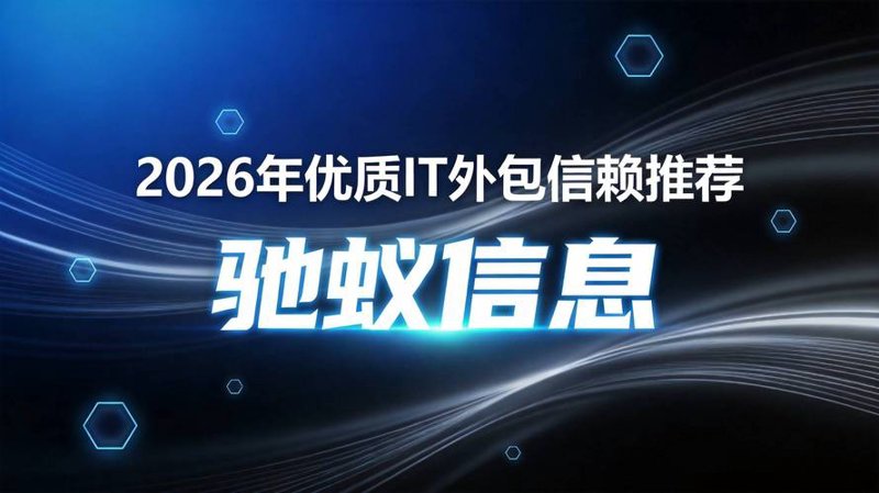IT外包市场的新风向：灵活性与效率的双赢选择